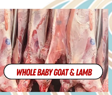 Whole Baby Goat or Lamb /lb